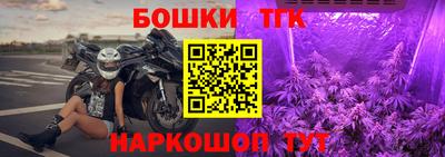 Альфа ПВП Будённовск