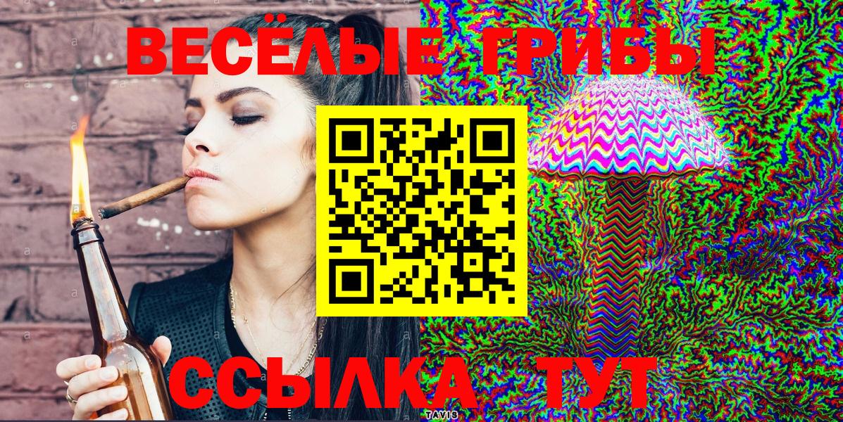 Галлюциногенные грибы Cubensis Псков