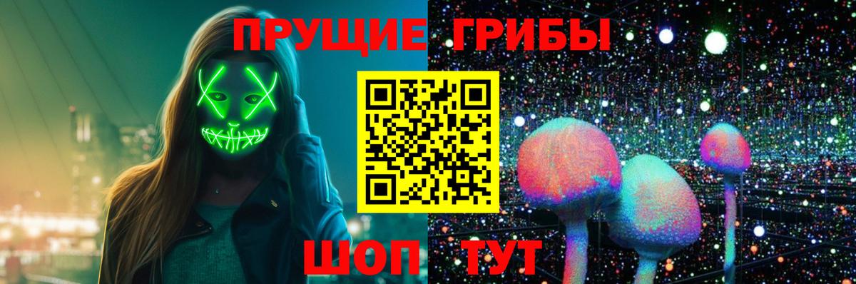 Галлюциногенные грибы Psilocybe  наркота  Псков  Вход с VPN 